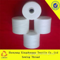 T20/2 spun polyester Raw material sewing thread